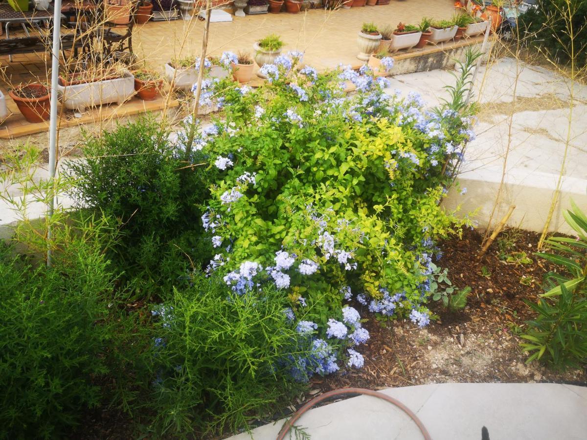 Chez Ramses * Marseilles